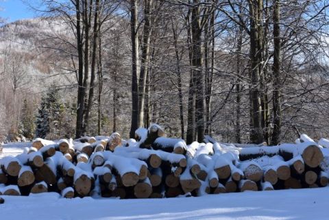 Ilustračné foto Jozef Marko