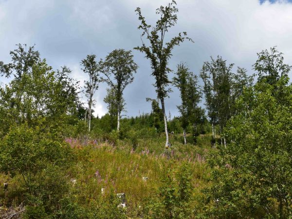 Ilustračné foto: Jozef Marko 