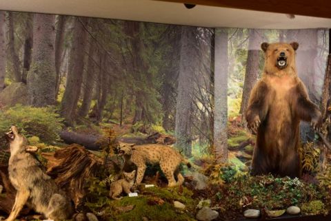 Ilustračné foto Jozef Marko