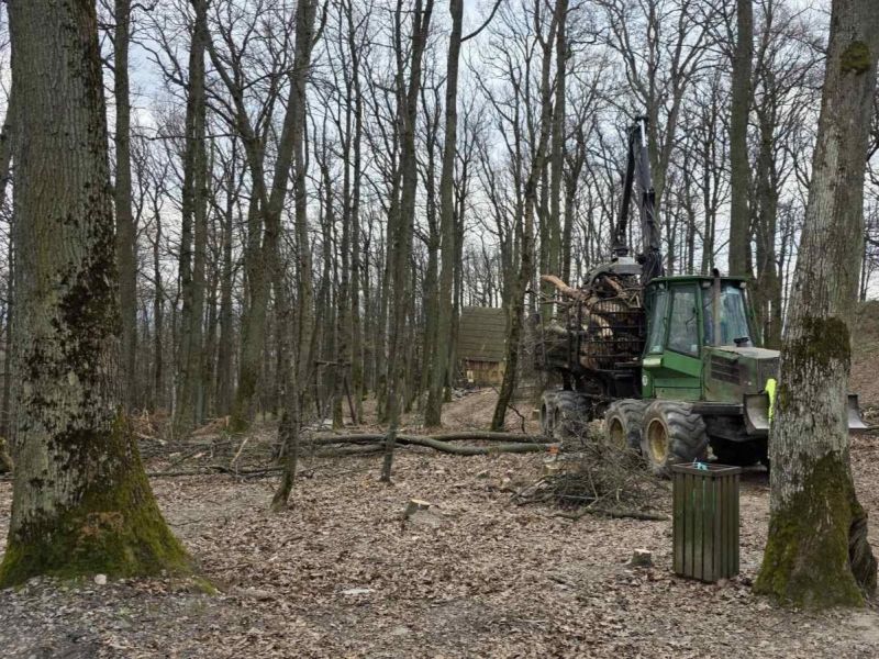 Zdroj: FB str&aacute;nka Mestsk&eacute; lesy Ko&scaron;ice 