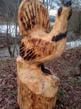 Ilustračné foto Cyril Bábeľa st. 