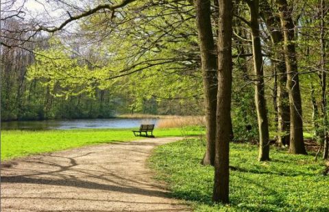 Eurofondy zazelenajú mestá