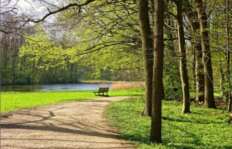 Eurofondy zazelenajú mestá