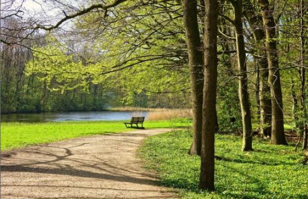 Eurofondy zazelenaj&uacute; mest&aacute;