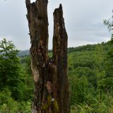 Ilustračn&eacute; foto Jozef Marko