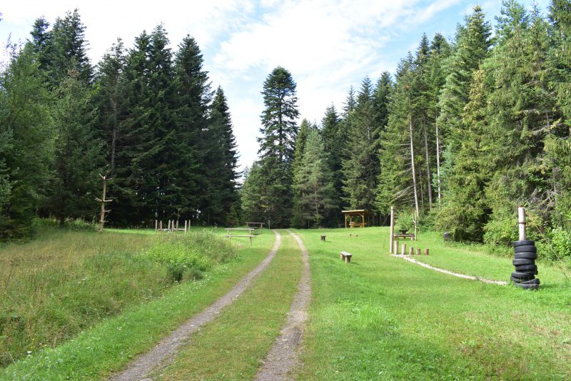 Pohľad na časť lesoparku pri Starej Ľubovni