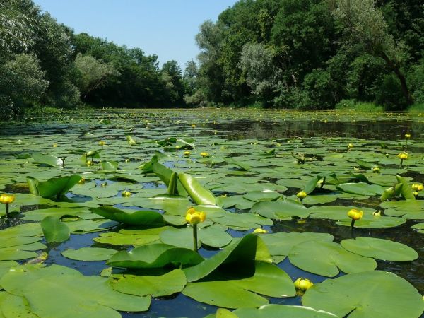 Zdroj: FB stránka Ministerstva životného prostredia 