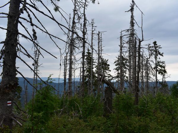 Ilustračné foto: Jozef Marko 