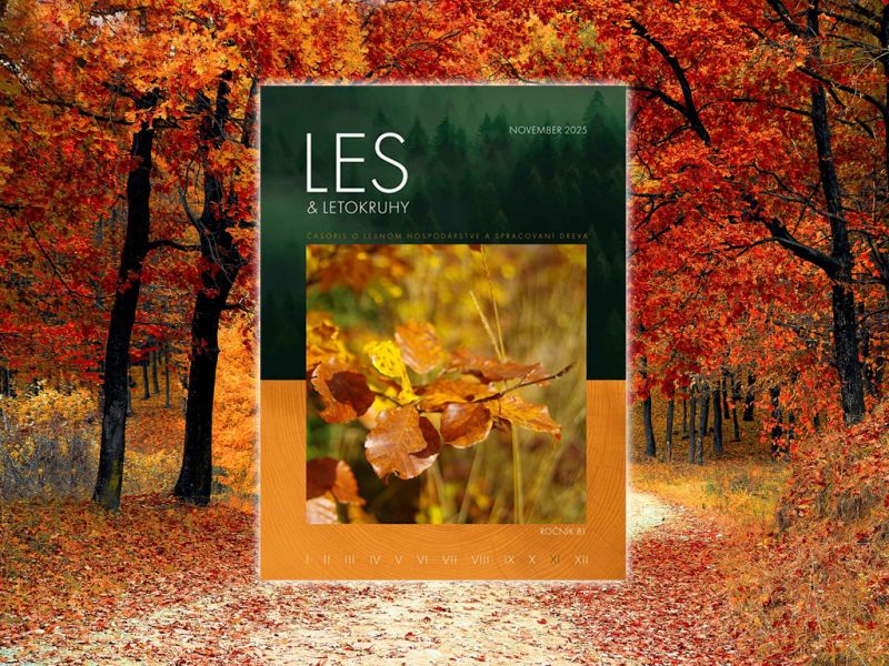 LES &amp; Letokruhy NOVEMBER 2025