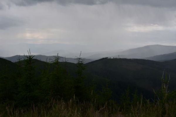 Hust&aacute; oblačnosť na lesnatou oblasťou 