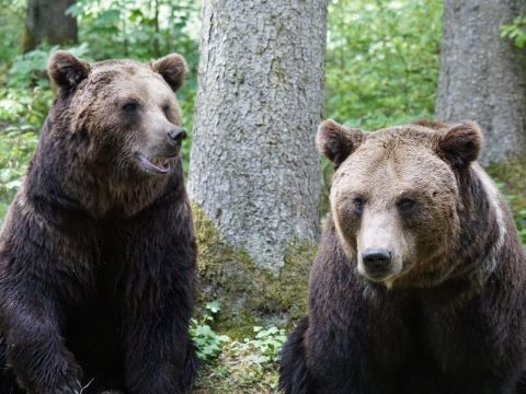 Ilustračné foto: Pixabay.com 