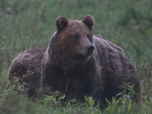 Ilustračné foto: Ing. Pavol Lenko 