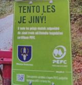 Zdroj: Newsletter PEFC