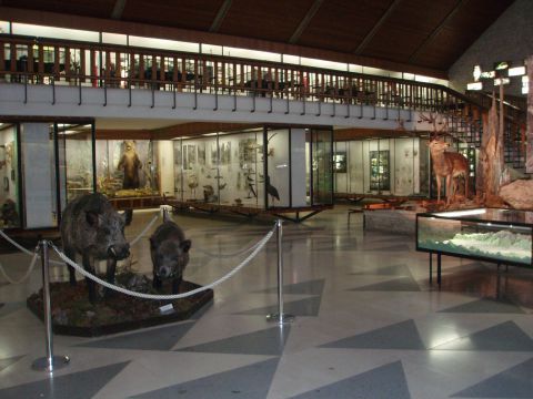 Múzeum slávi šesťdesiatku