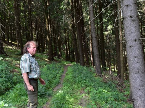 Ing. Mirosav Kluka v porastoch na Urbári Veličná 