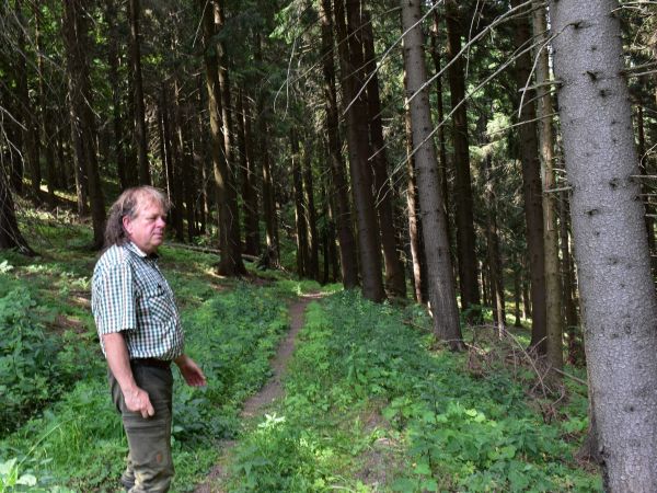 Ing. Mirosav Kluka v porastoch na Urb&aacute;ri Veličn&aacute; 