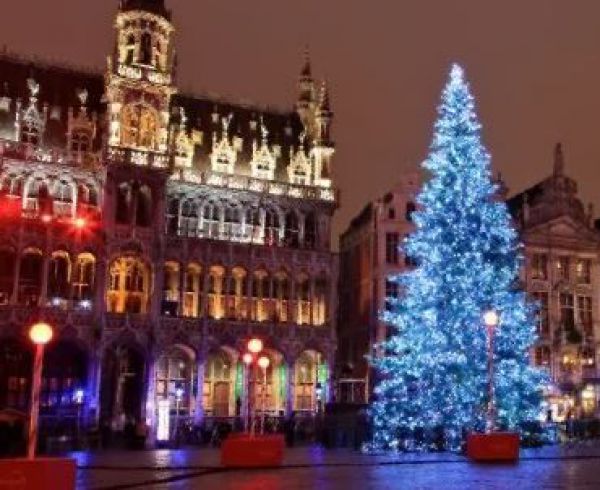 Rozpaky nad slovenským stromom