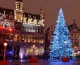 Rozpaky nad slovenským stromom