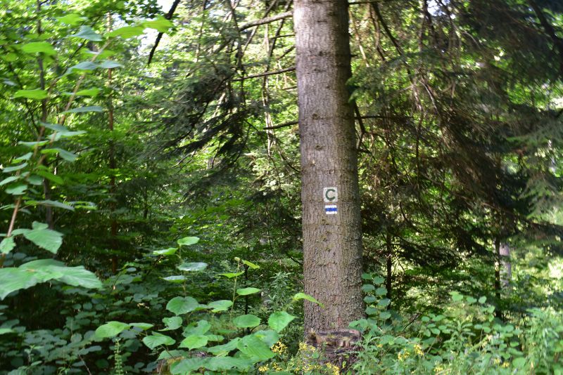 Turisti a cyklisti majú vstup aj do súkromných lesov voľný