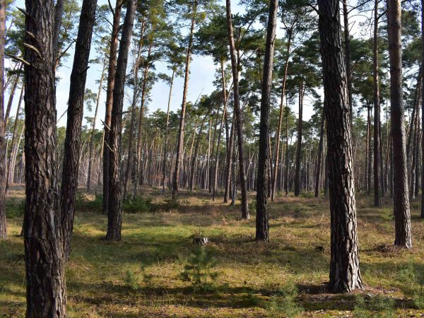 Ilustračné foto: Jozef Marko 