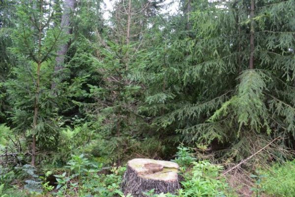 Ilustračné foto Jozef Marko