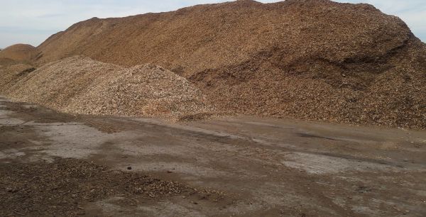 Ilustračné foto: Jozef Marko 