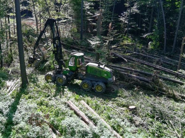 Spracovanie kalamity v Školskom lesnom podniku v Brne 