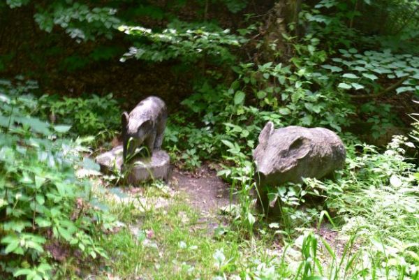 Ilustračn&eacute; foto Jozef Marko