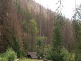 Tatranskí lesníci o sebe