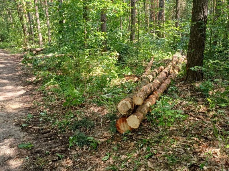 Zdroj: FB stránka Mestské lesy Košice 