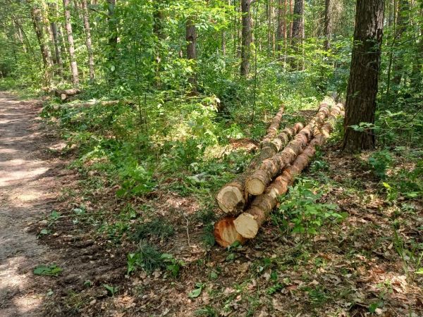 Zdroj: FB stránka Mestské lesy Košice 