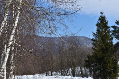 Zimný pohľad na hrebeň Polonín