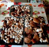 Jeden z hub&aacute;rskych &uacute;lovkov 