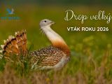 Zdroj: FB stránka SOS BirdLife Slovensko 