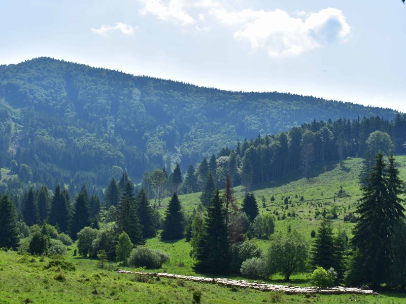 Ilustračné foto: Jozef Marko 