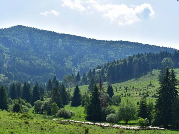 Ilustračné foto: Jozef Marko 