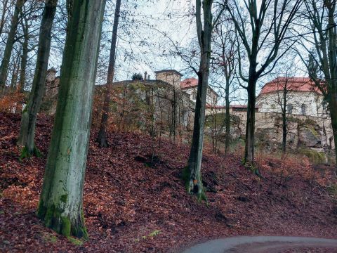 Zdroj: FB stránka Lesy ČR š. p. 