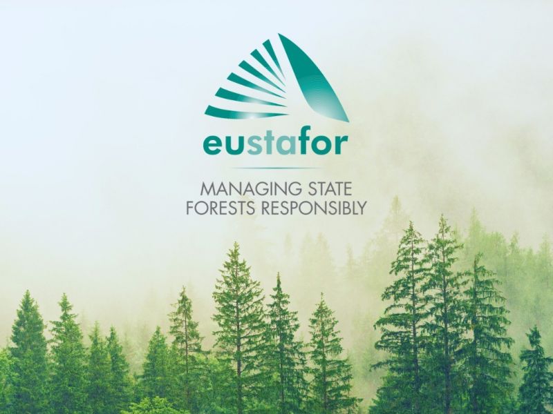 Zdroj: FB stránka Lesy ČR š. p. 