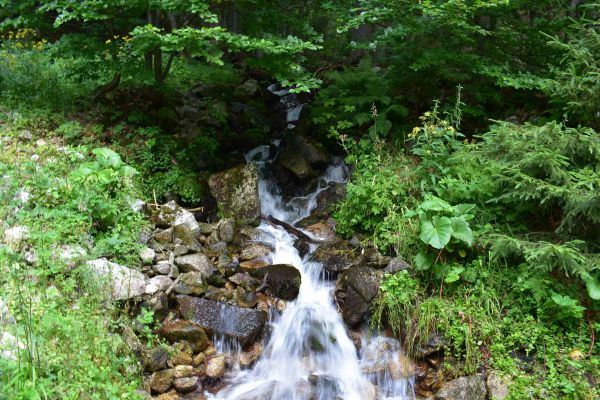 Ilustračné foto: Jozef Marko 