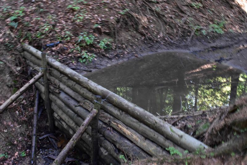 Ilustračné foto: Jozef Marko 