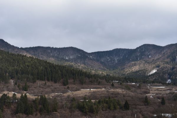 Ilustračn&eacute; foto Jozef Marko