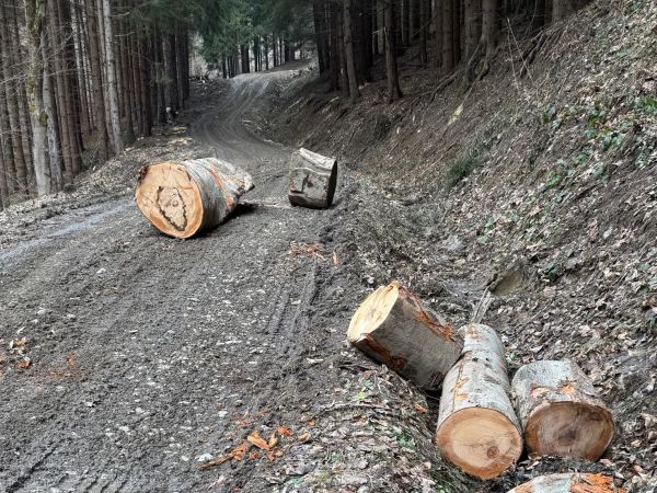 Foto: Ing. Jan Václavík 