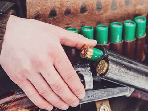 Zdroj: mesačná správa FACE