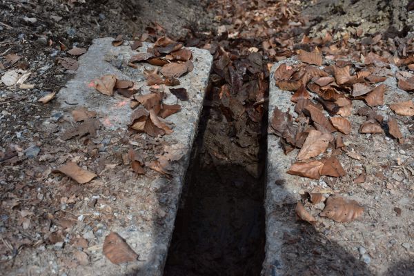 Bet&oacute;nov&aacute; odr&aacute;žka na lesnej ceste