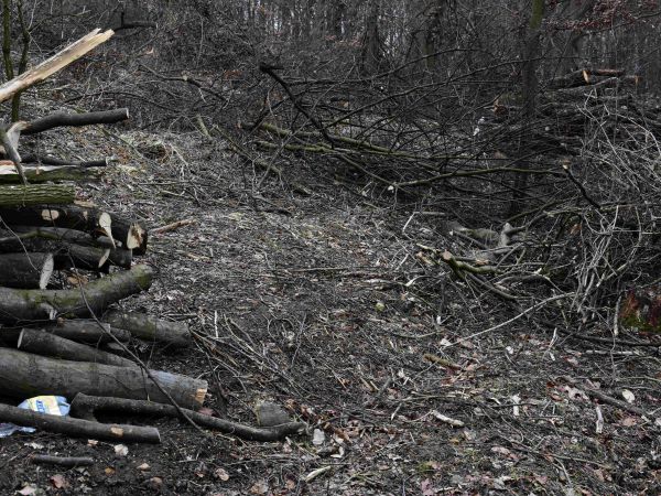 Ilustračné foto: Jozef Marko 