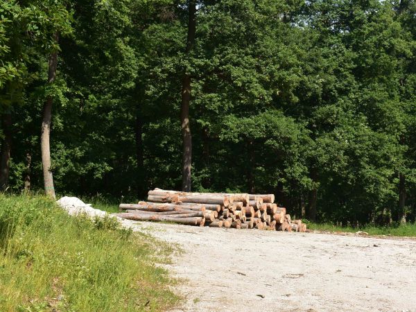 Ilustračné foto: Jozef Marko 