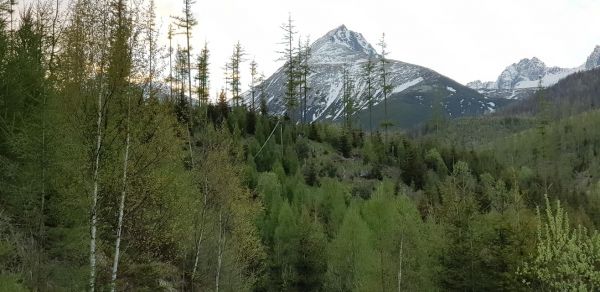 Ilustračn&eacute; foto Ing. R&oacute;bert Gomb&aacute;rik 