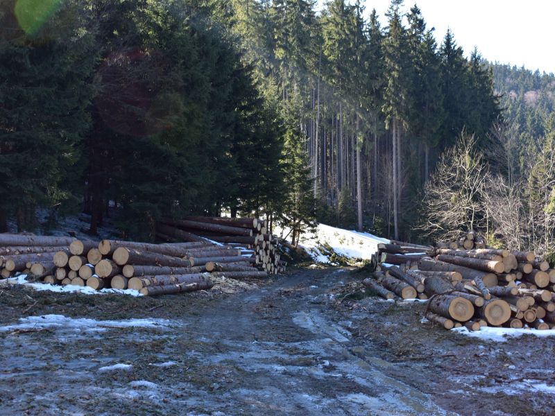 Ilustračn&eacute; foto: Jozef Marko 