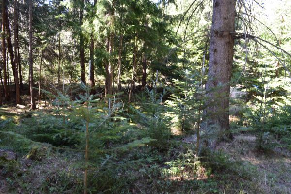 Ilustračn&eacute; foto Jozef Marko