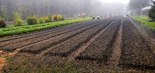 Lesn&aacute; &scaron;k&ocirc;lka Jovsa 